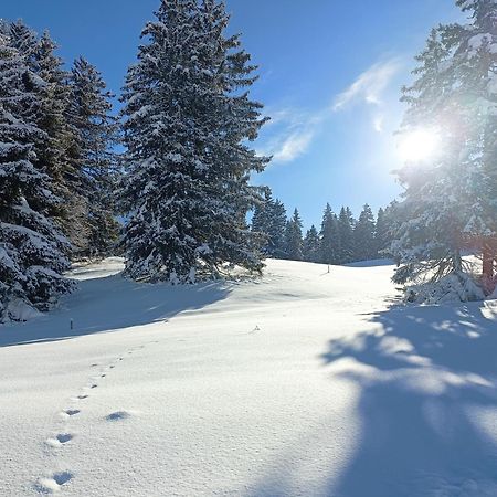 Ferien In Der Region Lenzerheide Apartment Ngoại thất bức ảnh