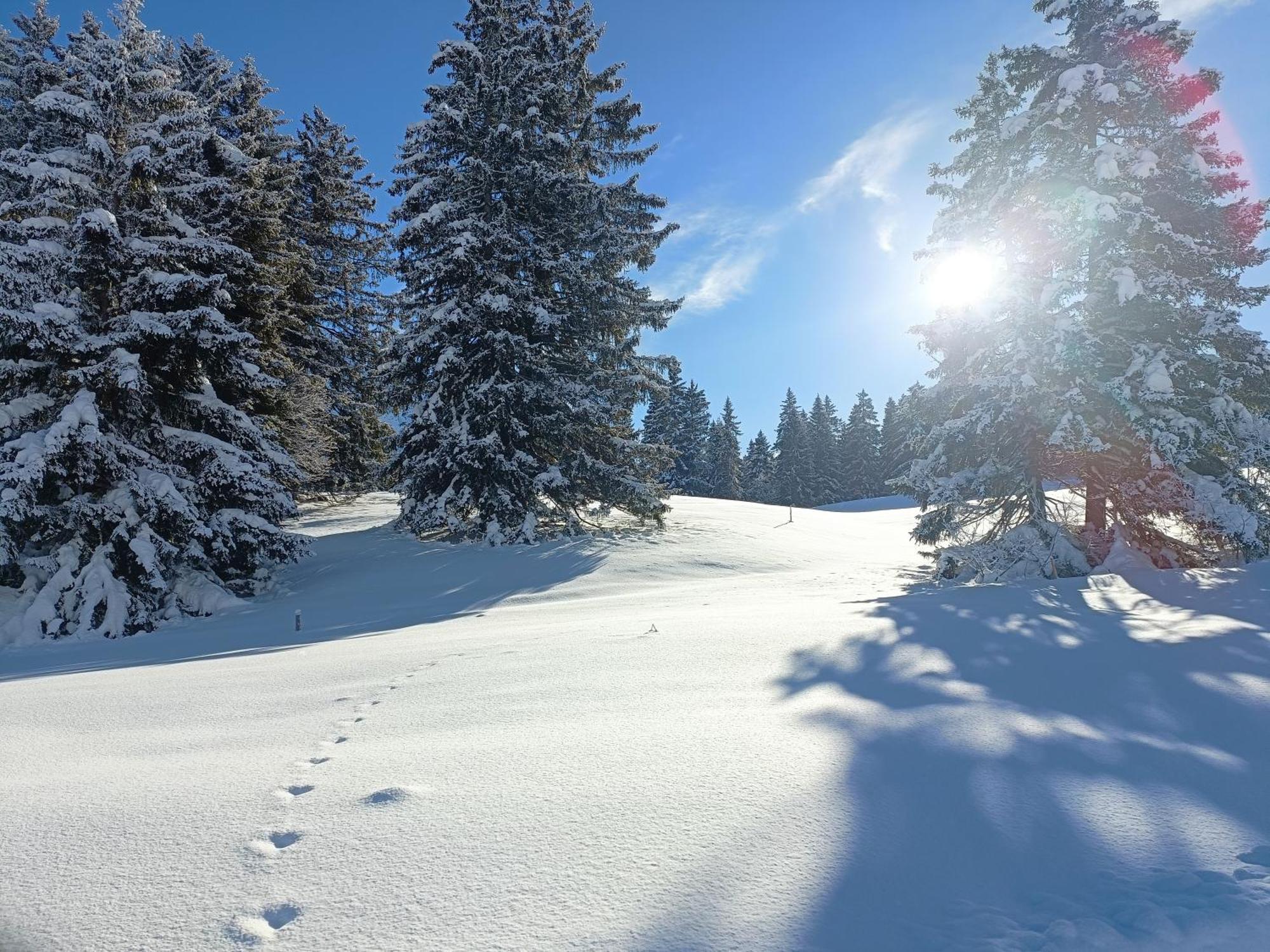 Ferien In Der Region Lenzerheide Apartment Ngoại thất bức ảnh